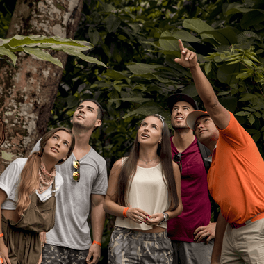 Grupo de turistas mirando hacia arriba en la selva